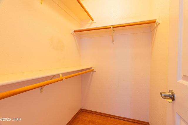 2335 Palo Verde Blvd N, Lake Havasu City, AZ 86404 - spacious closet featuring light wood-type flooring