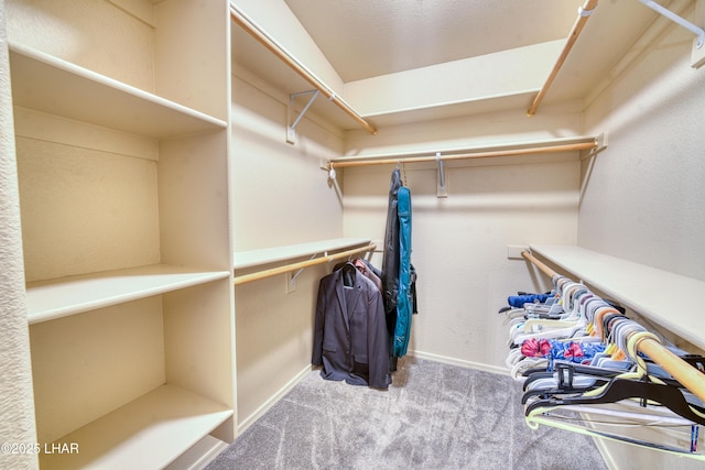 3000 Mirage Dr, Lake Havasu City, AZ 86404 - walk in closet featuring carpet
