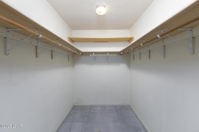 spacious closet with carpet