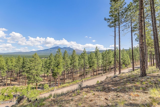 2251 N Kramer St, Flagstaff, AZ 86001 - photo 35