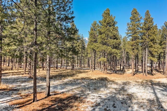 2251 N Kramer St, Flagstaff, AZ 86001 - photo 92