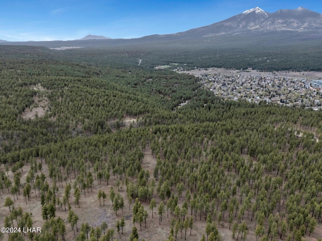 2251 N Kramer St, Flagstaff, AZ 86001 - photo 75