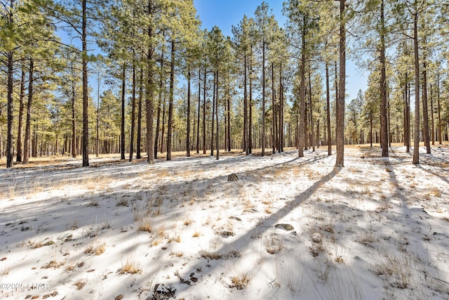 2251 N Kramer St, Flagstaff, AZ 86001 - photo 89