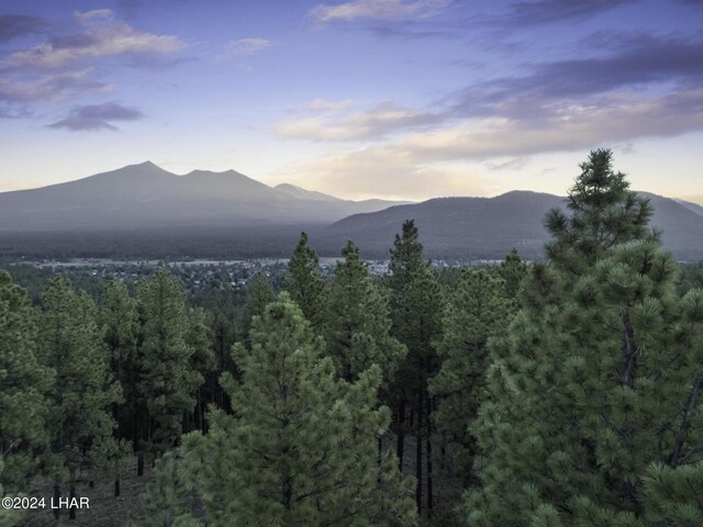 2251 N Kramer St, Flagstaff, AZ 86001 - photo 86