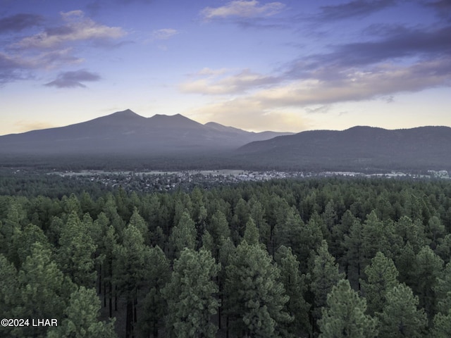 2251 N Kramer St, Flagstaff, AZ 86001 - photo 81