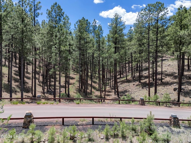 2251 N Kramer St, Flagstaff, AZ 86001 - photo 48