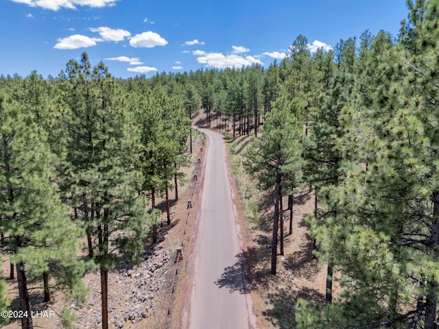 2251 N Kramer St, Flagstaff, AZ 86001 - photo 56