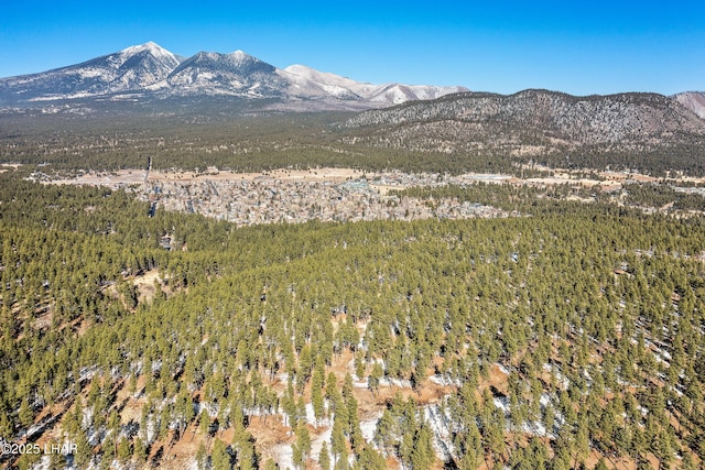 2251 N Kramer St, Flagstaff, AZ 86001 - photo 100