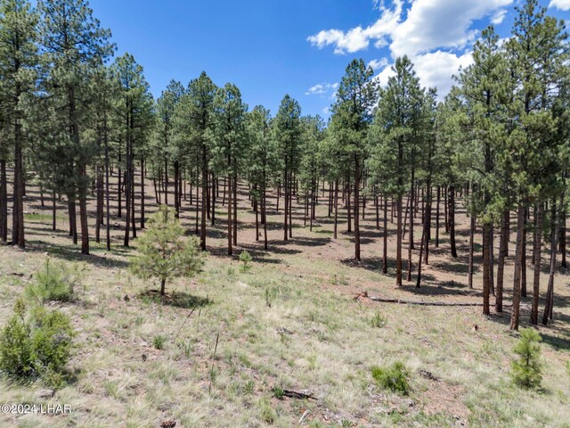 2251 N Kramer St, Flagstaff, AZ 86001 - photo 63