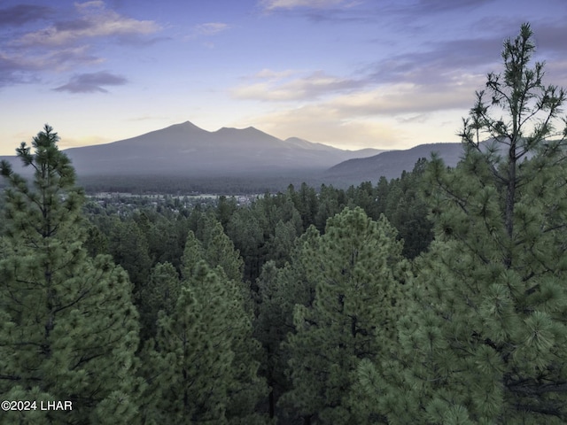 2251 N Kramer St, Flagstaff, AZ 86001 - photo 84