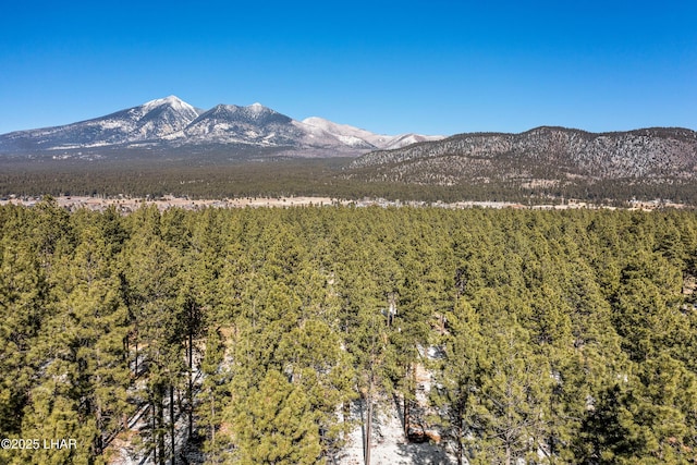 2251 N Kramer St, Flagstaff, AZ 86001 - photo 99