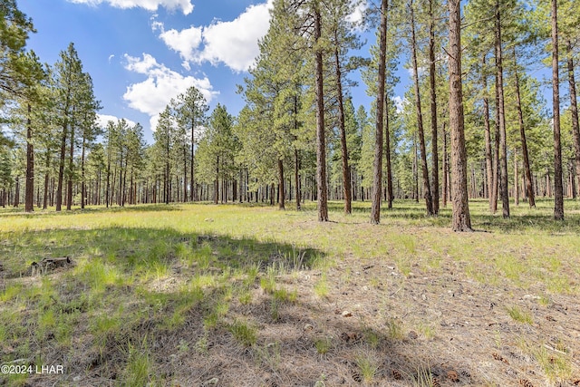 2251 N Kramer St, Flagstaff, AZ 86001 - photo 42
