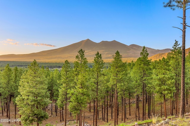 2251 N Kramer St, Flagstaff, AZ 86001 - photo 11