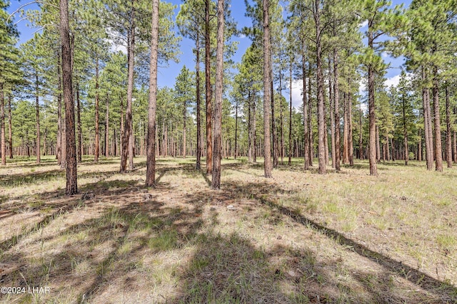 2251 N Kramer St, Flagstaff, AZ 86001 - photo 36