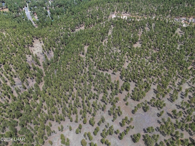 2251 N Kramer St, Flagstaff, AZ 86001 - photo 73