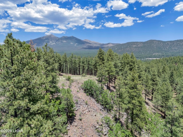 2251 N Kramer St, Flagstaff, AZ 86001 - photo 60