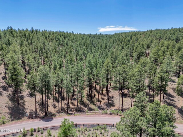 2251 N Kramer St, Flagstaff, AZ 86001 - photo 57