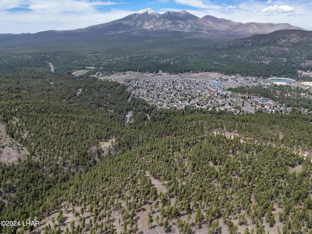 2251 N Kramer St, Flagstaff, AZ 86001 - photo 72