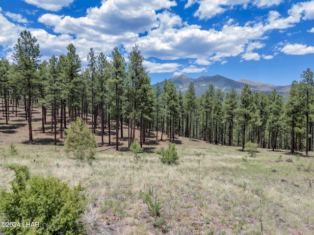 2251 N Kramer St, Flagstaff, AZ 86001 - photo 61