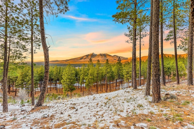 2251 N Kramer St, Flagstaff, AZ 86001 - photo 19