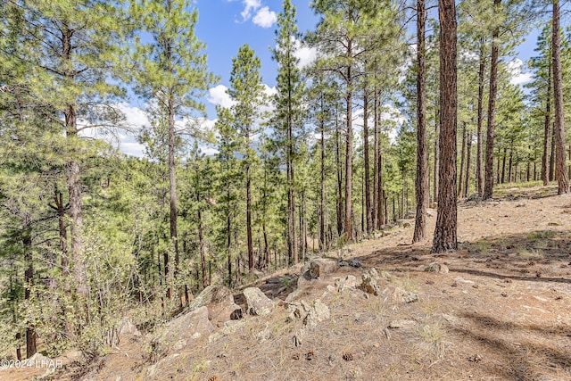 2251 N Kramer St, Flagstaff, AZ 86001 - photo 39