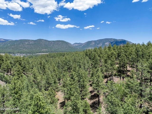 2251 N Kramer St, Flagstaff, AZ 86001 - photo 64