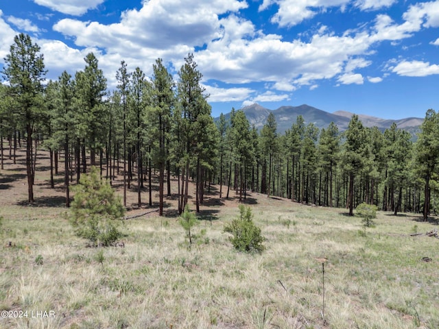 2251 N Kramer St, Flagstaff, AZ 86001 - photo 62