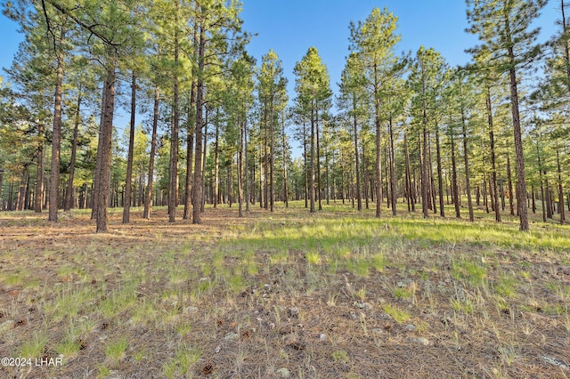 2251 N Kramer St, Flagstaff, AZ 86001 - photo 44