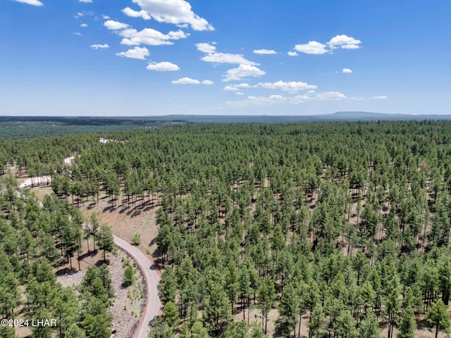 2251 N Kramer St, Flagstaff, AZ 86001 - photo 71