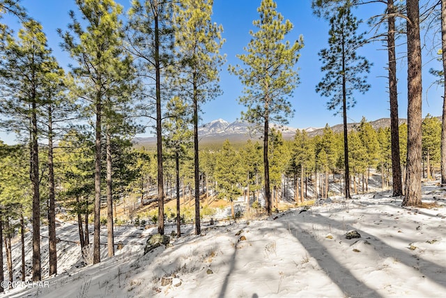 2251 N Kramer St, Flagstaff, AZ 86001 - photo 90