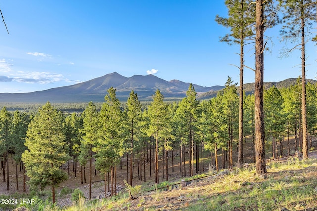 2251 N Kramer St, Flagstaff, AZ 86001 - photo 43