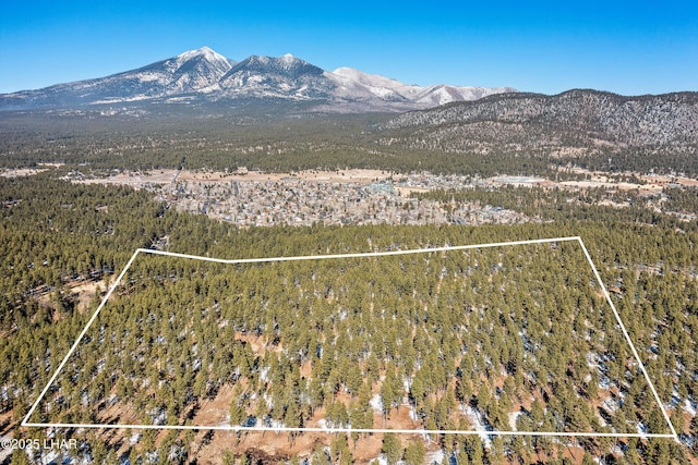 2251 N Kramer St, Flagstaff, AZ 86001 - photo 7