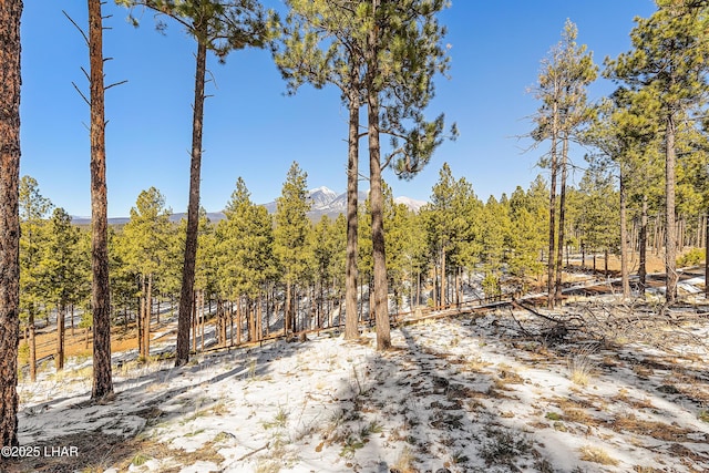 2251 N Kramer St, Flagstaff, AZ 86001 - photo 87