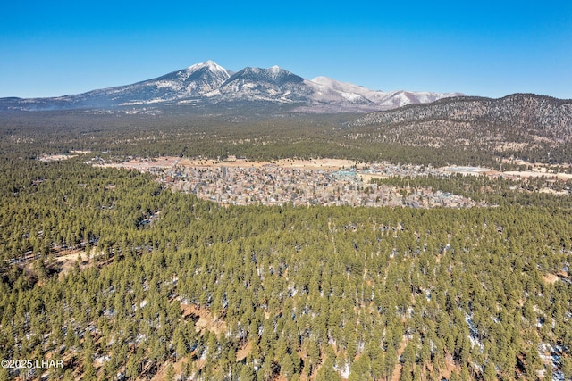 2251 N Kramer St, Flagstaff, AZ 86001 - photo 94