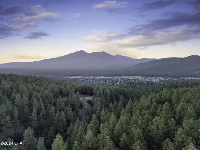 2251 N Kramer St, Flagstaff, AZ 86001 - photo 79