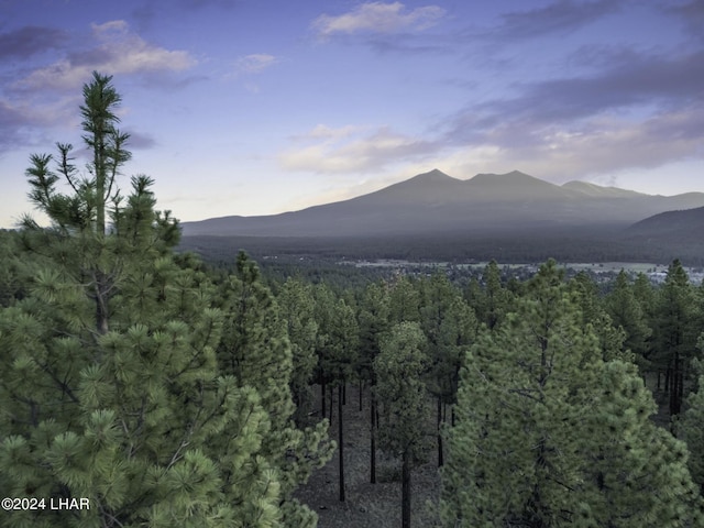 2251 N Kramer St, Flagstaff, AZ 86001 - photo 85