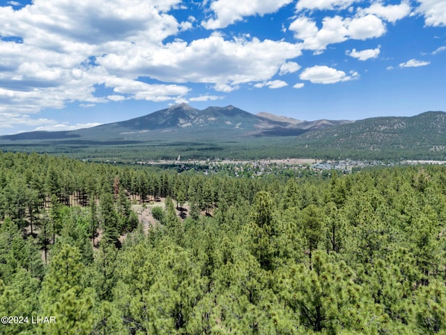 2251 N Kramer St, Flagstaff, AZ 86001 - photo 66