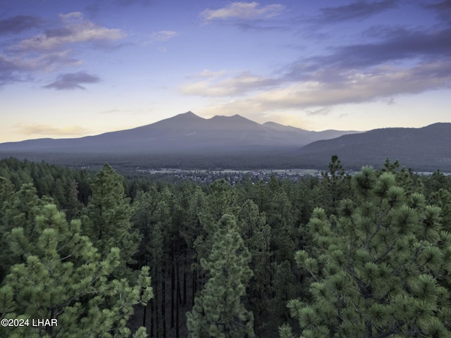 2251 N Kramer St, Flagstaff, AZ 86001 - photo 83