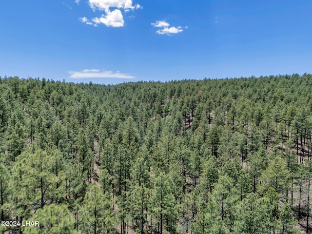 2251 N Kramer St, Flagstaff, AZ 86001 - photo 58