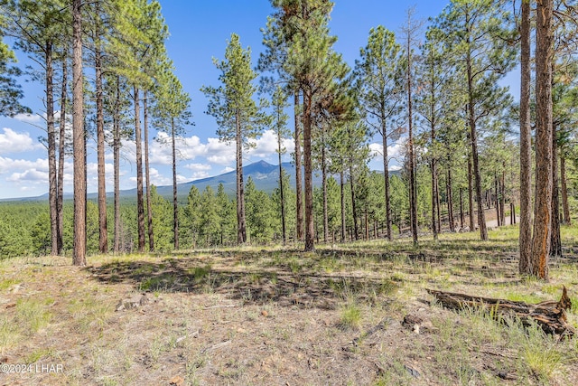 2251 N Kramer St, Flagstaff, AZ 86001 - photo 34