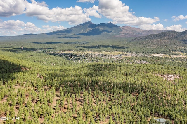 2251 N Kramer St, Flagstaff, AZ 86001 - photo 27