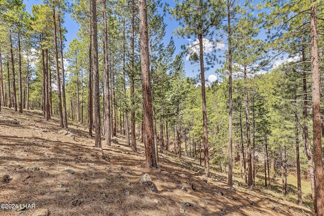 2251 N Kramer St, Flagstaff, AZ 86001 - photo 38