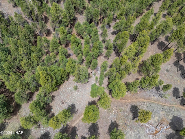 2251 N Kramer St, Flagstaff, AZ 86001 - photo 77