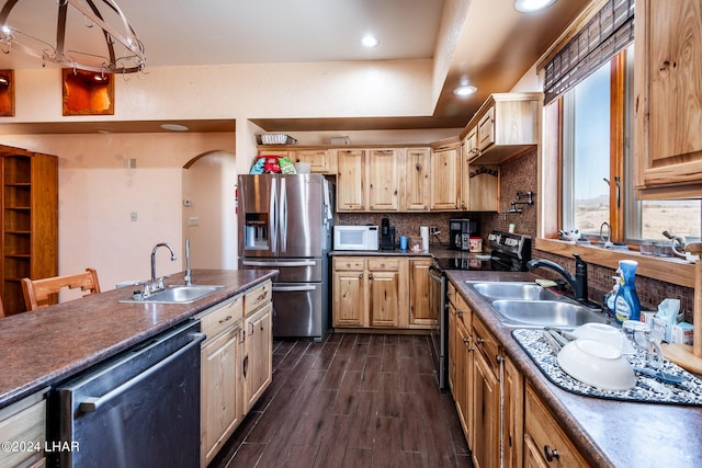 kitchen featuring tasteful backsplash, appliances with stainless steel finishes, dark hardwood / wood-style flooring, and sink