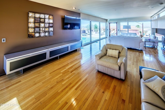 living room with light hardwood / wood-style floors