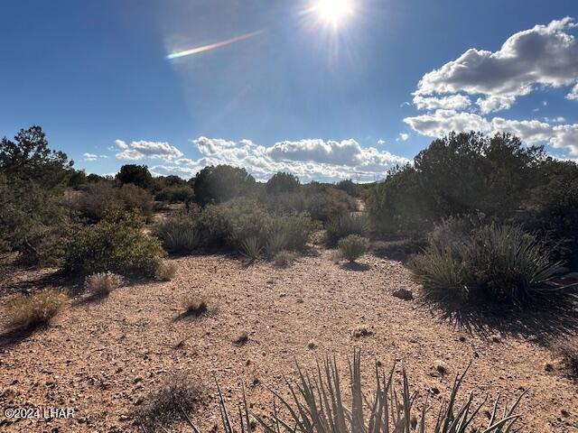 000 Running Brook Dr, Hackberry, AZ 86411 - photo 10