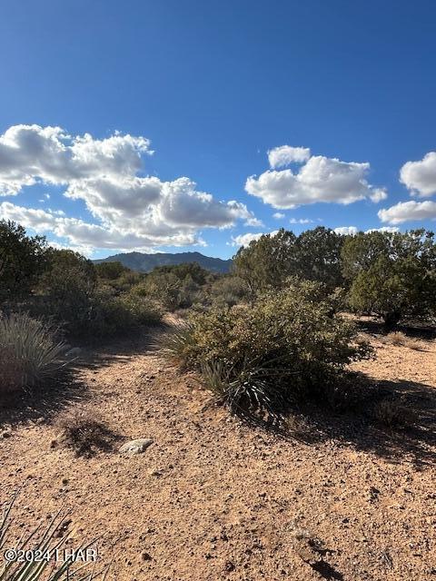 000 Running Brook Dr, Hackberry, AZ 86411 - photo 11