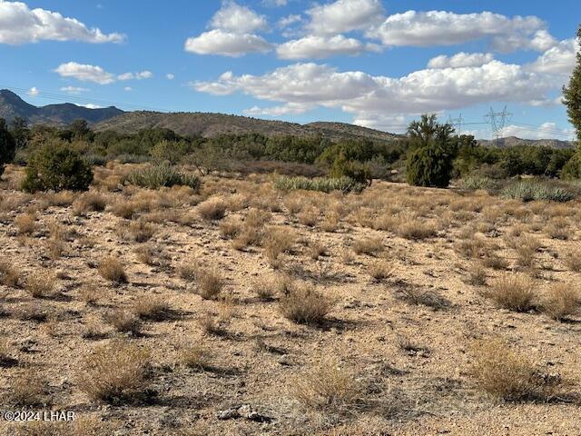 000 Running Brook Dr, Hackberry, AZ 86411 - photo 8