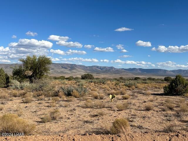 000 Running Brook Dr, Hackberry, AZ 86411 - photo 14