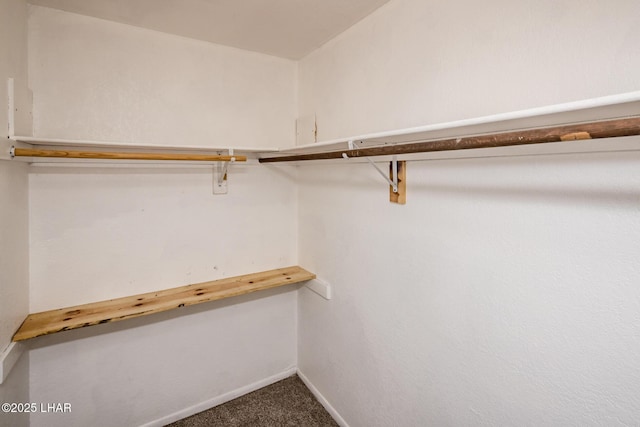 spacious closet featuring dark colored carpet